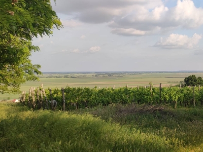 Szekszárdi Építési Telek - Szekszárd, Tolna - Telek, föld