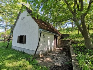 Eladó mezogazdasagi ingatlan Berhida