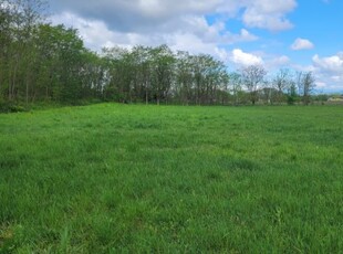 Eladó telek Mogyoród, Szentjakab park