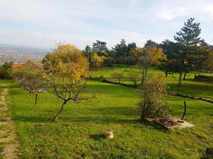 Eladó telek Pécs