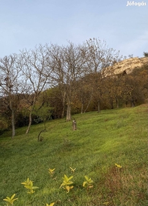 Eladó telek a Turul-hegyoldalban - Tatabánya, Komárom-Esztergom - Nyaralók, üdülők