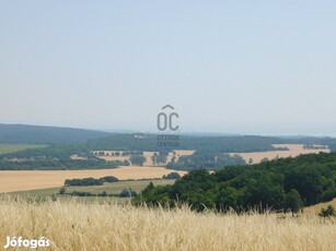 Bejártam a világot de ilyen szívet melengető panorámát eddig nem látta