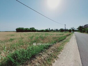 Eladó mezogazdasagi ingatlan Csemő