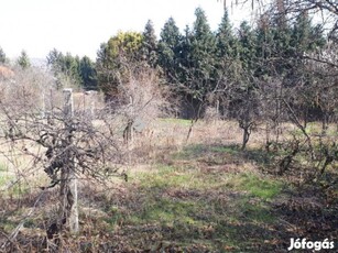 Eladó telek, Diósd zsákutcában