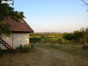 Panorámás pince-présház eladó Pécselyen