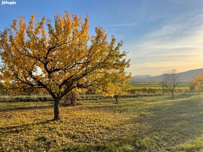 Szentbékkállán panorámás gyümölcsös eladó