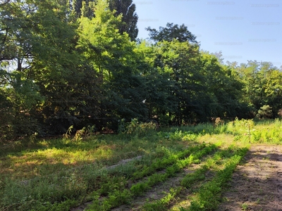 Eladó egyéb telek - Kecskemét, Felsőcsalános