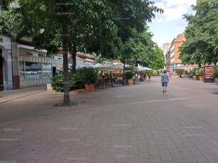 Debrecen, Csapó utca