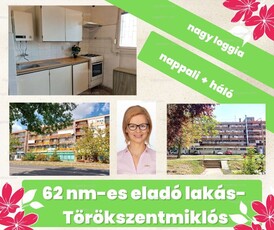 Törökszentmiklós, Városközpont