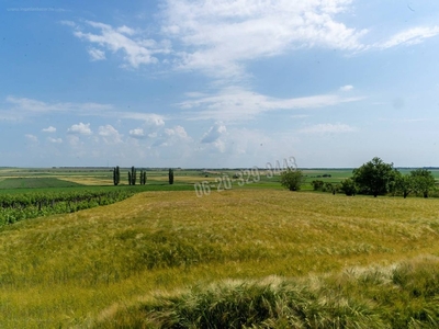 Pázmánd, ingatlan, mezőgazd. ingatlan, 1757 m2, 8.500.000 Ft