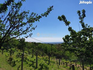 Eladó Telek, Budaörs