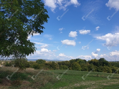 Jutaspuszta, Veszprém, ingatlan, telek, 132.900.000 Ft