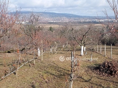 Törökbálint, ingatlan, nyaraló, 25 m2, 49.900.000 Ft