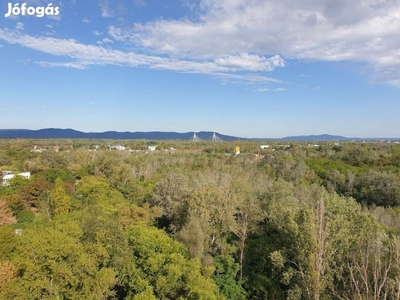 Panorámás, erdőre- patakra néző, tulajdonostól eladó