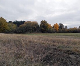 Eladó termőföld, szántó - Veszprém