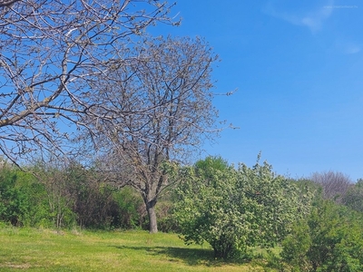 Sukoró, ingatlan, telek, 9.500.000 Ft