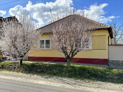 Eladó jó állapotú ház - Jánoshalma