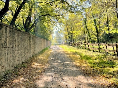 Eladó termőföld, szántó - Vácrátót