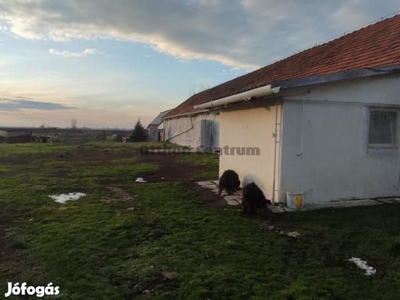 Eladó mezőgazdasági ingatlan Egyek