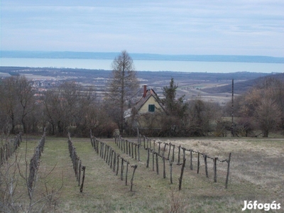 Mencshelyen balatoni panorámás telek sürgősen eladó!