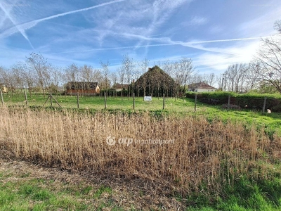 Tiszajenő, ingatlan, telek, 12.000.000 Ft