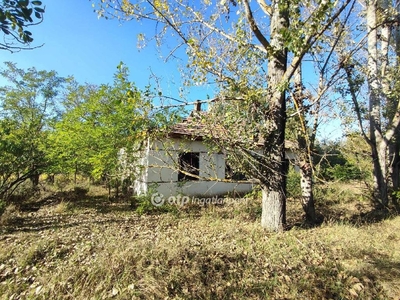 Bócsa, ingatlan, ház, 60 m2, 4.500.000 Ft