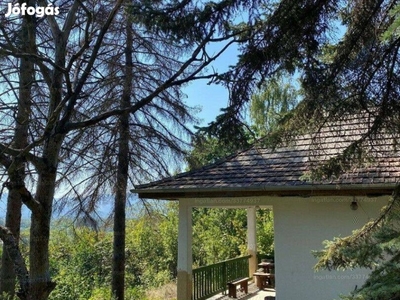 Panorámás felújítandó nyaraló eladó Verőcén