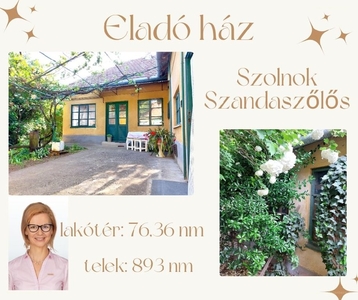 Szandaszőlős, Szolnok, ingatlan, ház, 76 m2, 24.800.000 Ft