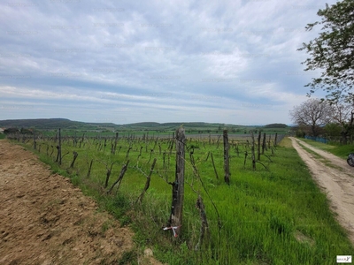 Eladó általános mezőgazdasági ingatlan - Balatoncsicsó, Külterület