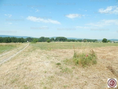 Eladó általános mezőgazdasági ingatlan - Raposka, Veszprém megye