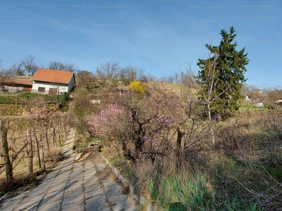 Eladó általános mezőgazdasági ingatlan - Szekszárd, Lisztesvölgy utca