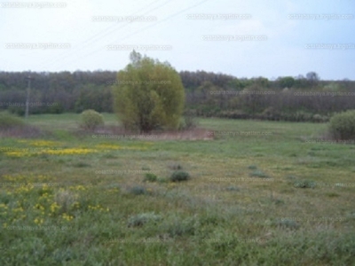 Eladó általános mezőgazdasági ingatlan - Tatabánya, Komárom-Esztergom megye