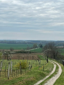 Eladó egyéb telek - Harkány, Terehegy