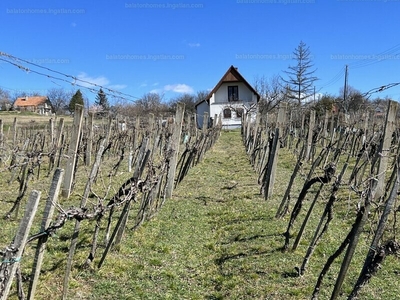 Eladó hétvégi házas nyaraló - Balatonszőlős, Veszprém megye