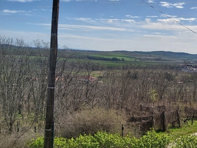 Eladó hétvégi házas nyaraló - Nyúl, Győr-Moson-Sopron megye