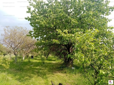 Eladó hétvégi házas nyaraló - Siófok, Szabadifürdő