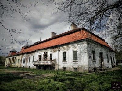 Eladó kastély - Gávavencsellő, Gáva