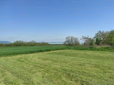 Eladó külterületi telek - Balatonberény, Bokros dűlő