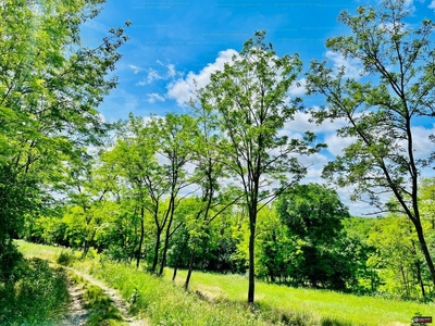 Eladó külterületi telek - Balatonboglár, Szőlőskislak