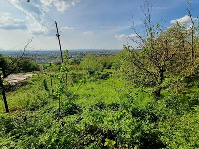 Eladó külterületi telek - Biatorbágy, Szarvashegy