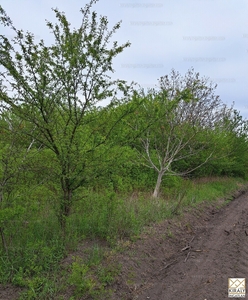 Eladó külterületi telek - Ikrény, Győr-Moson-Sopron megye