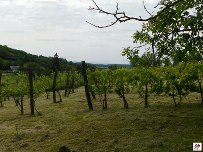 Eladó külterületi telek - Pécsely, Veszprém megye