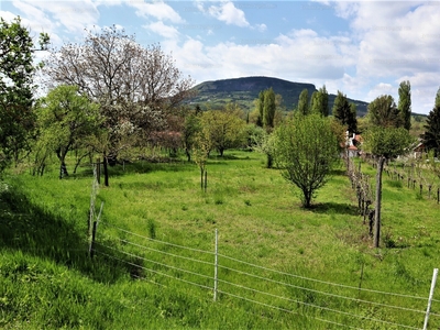 Eladó lakóövezeti telek - Badacsonytomaj, Badacsonyörs