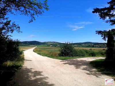 Eladó lakóövezeti telek - Balatonszőlős, Veszprém megye