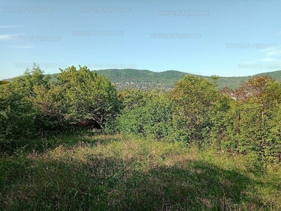 Eladó lakóövezeti telek - III. kerület, Óvár utca