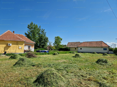 Eladó lakóövezeti telek - Poroszló, Alkotmány út 83.