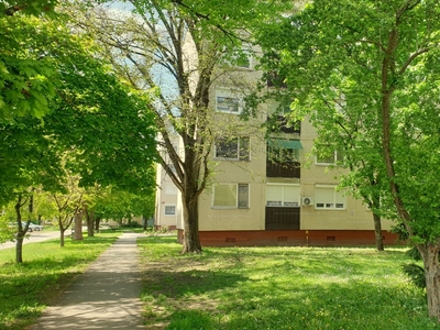 Eladó panel lakás - Mezőhegyes, Molnár C. Pál lakótelep 6.