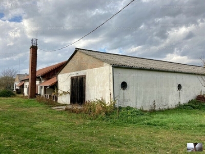 Eladó raktárhelyiség - Szeged, Tompasziget