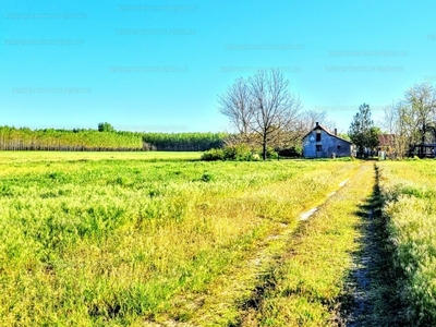 Eladó tanya - Nagykőrös, Pest megye