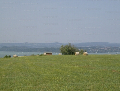 Eladó termőföld, szántó - Kőröshegy, Borkút